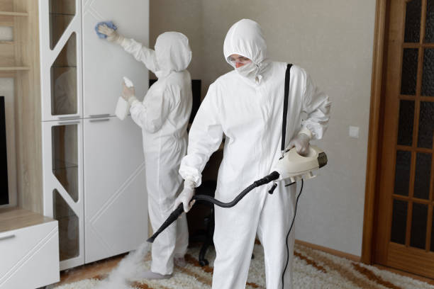 24/7 Emergency Biohazard Cleanup experts in Nellis AFB, NV
